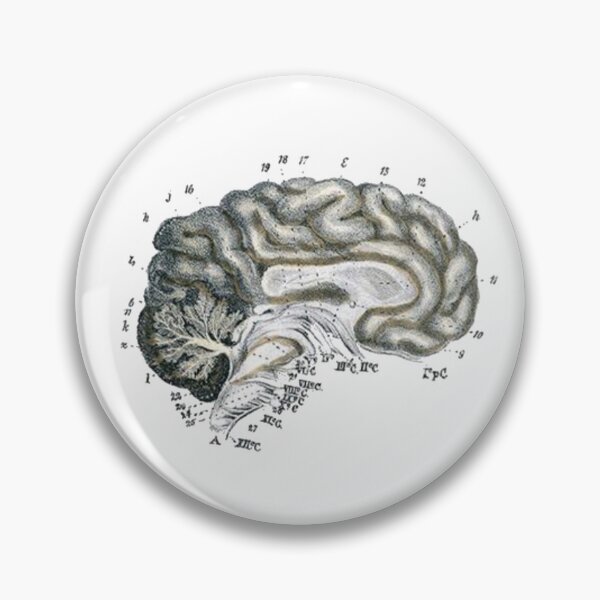 Item preview, Vintage Human Brain Anatomy Illustration 3 designed and sold by HawthorneFlame.