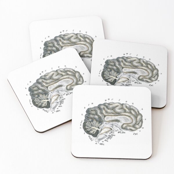 Item preview, Vintage Human Brain Anatomy Illustration 3 designed and sold by HawthorneFlame.