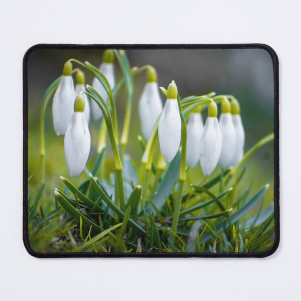 Item preview, Spring flowers3 designed and sold by YarekPhoto.