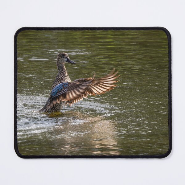 Item preview, And we have splash down designed and sold by Your search is over, it’s here! .