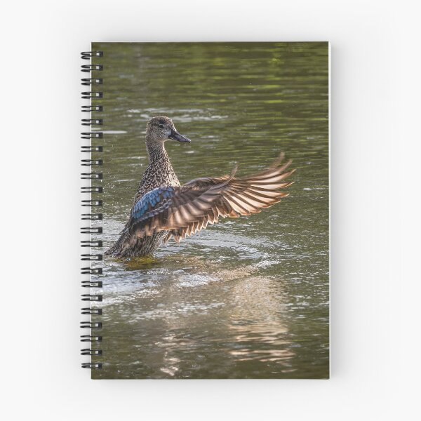 Item preview, And we have splash down  designed and sold by Your search is over, it’s here! .