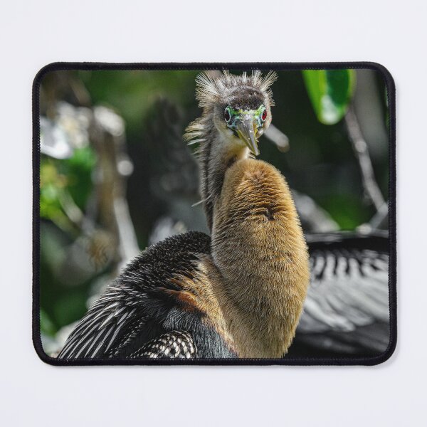 Item preview, Ready to do a Chest Bump! designed and sold by Your search is over, it’s here! .