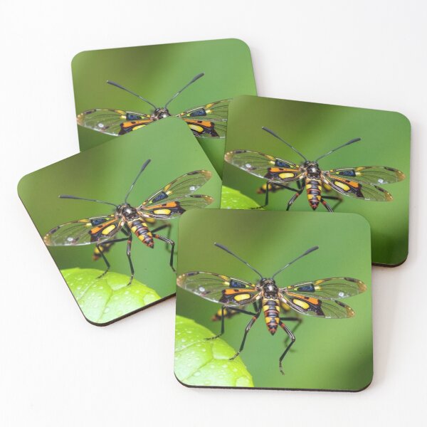 Item preview, Insect designed and sold by TreatLLC.