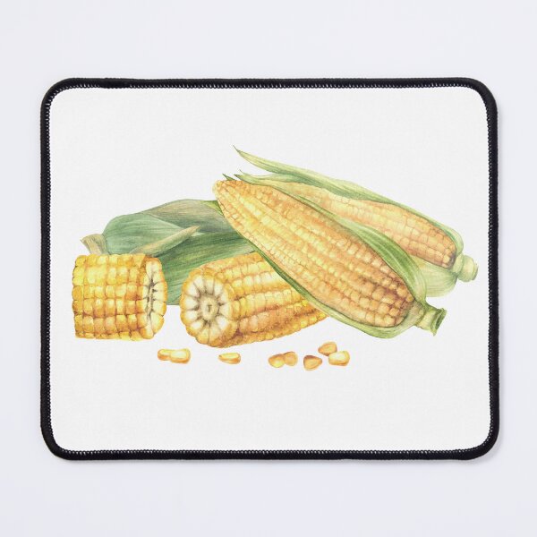 Item preview, Copy of Corn composition. Yellow sweet cut and whole maize cob, kernel of corn. Watercolor food illustration designed and sold by BartolArt.