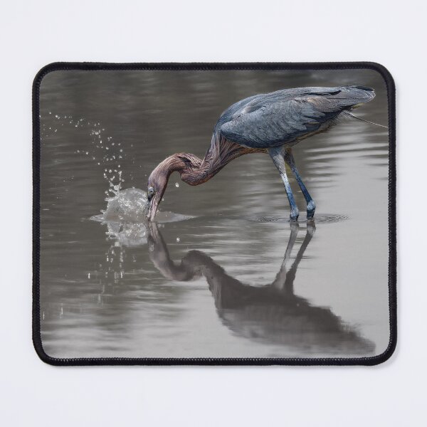 Item preview, Making a Splash designed and sold by Your search is over, it’s here! .