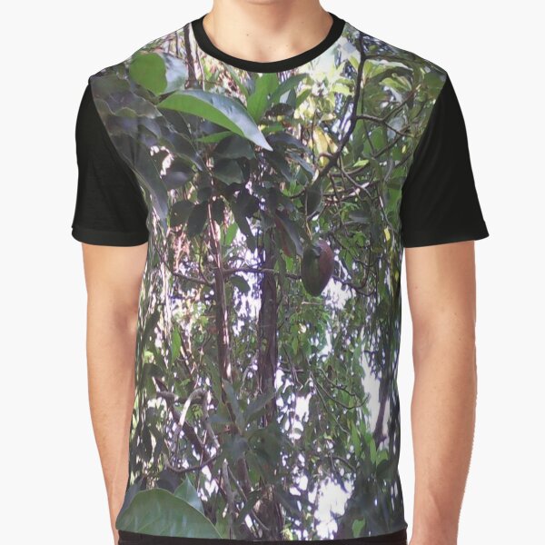 Avocado Tree Graphic T-Shirt