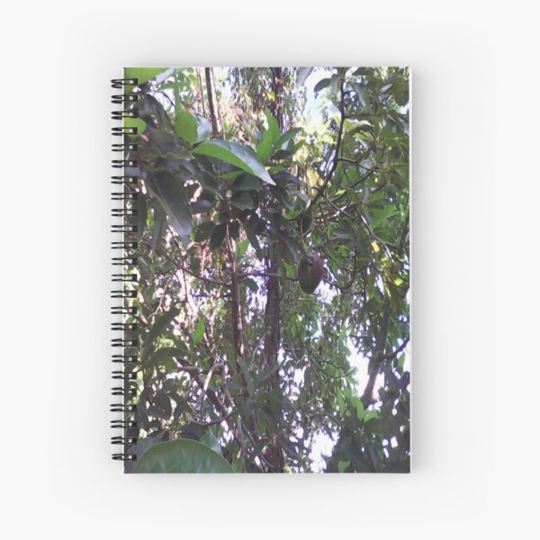 Avocado Tree Spiral Notebook