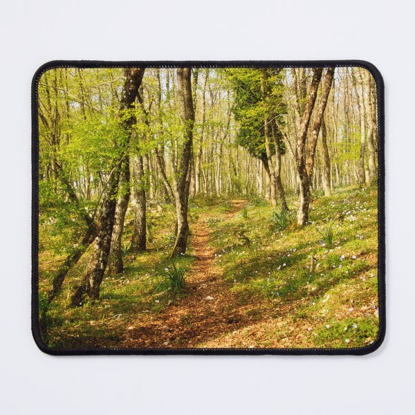 Item preview, Spring Wood designed and sold by maureen bracewell.