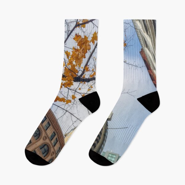 Item preview, City Autumn designed and sold by jvnimages.