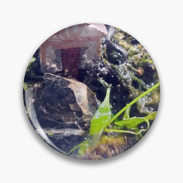 Item preview, Terrarium Cabin 1 designed and sold by Spaghetti13.
