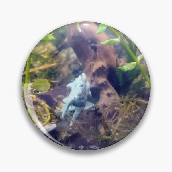 Item preview, Aquarium Hippocampus designed and sold by Spaghetti13.