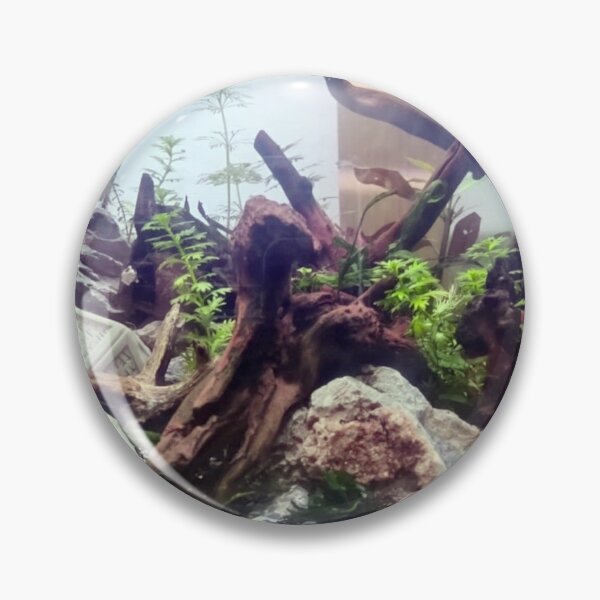 Item preview, Hedron Aquarium designed and sold by Spaghetti13.
