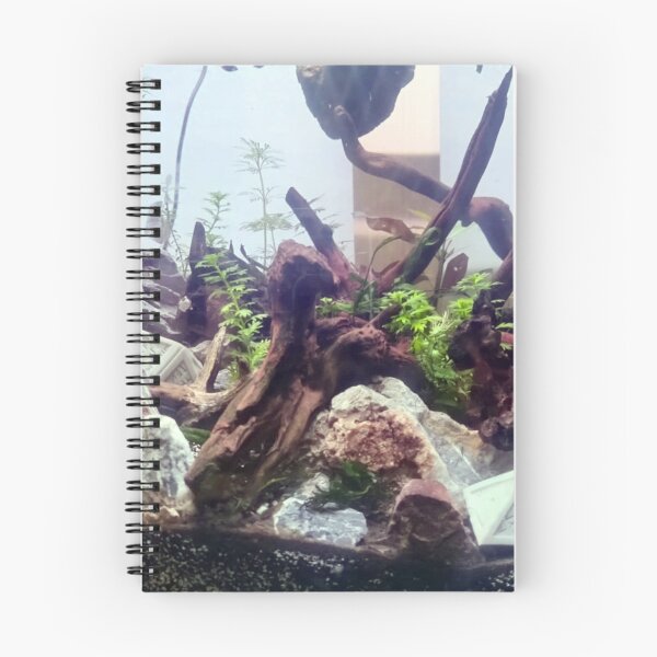 Item preview, Hedron Aquarium designed and sold by Spaghetti13.
