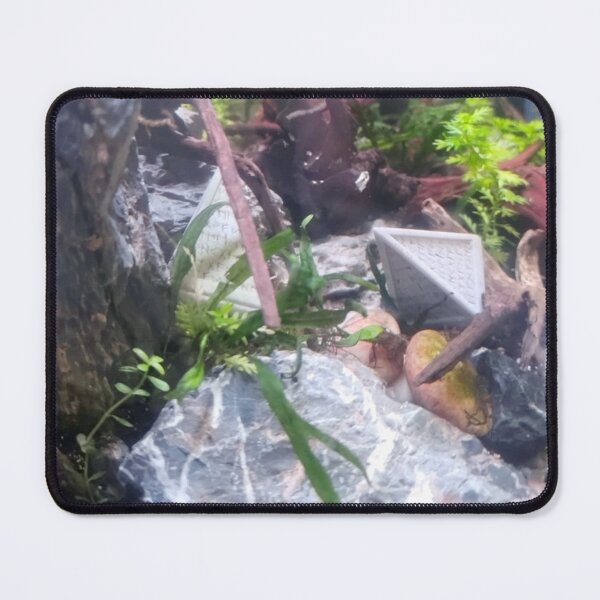 Item preview, Hedron Aquarium 1 designed and sold by Spaghetti13.