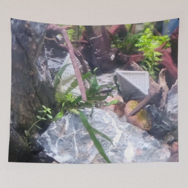 Item preview, Hedron Aquarium 1 designed and sold by Spaghetti13.