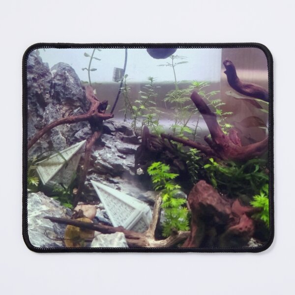 Item preview, Hedron Aquarium 2 designed and sold by Spaghetti13.