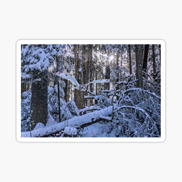 Item preview, Cold Was Our Pride designed and sold by billfox256.