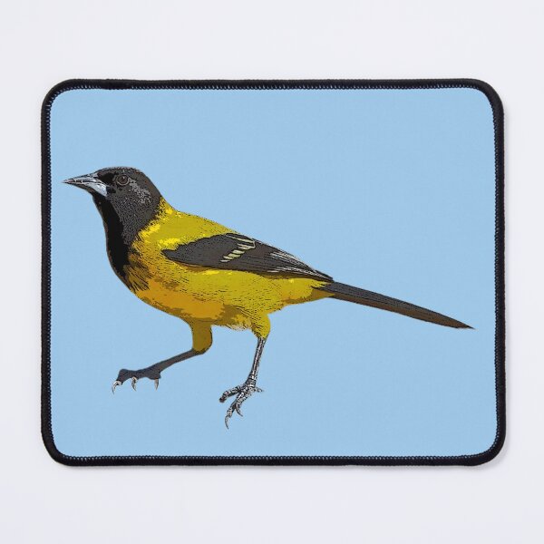 Item preview, Audubon's Oriole Color Design designed and sold by designsasstultd.