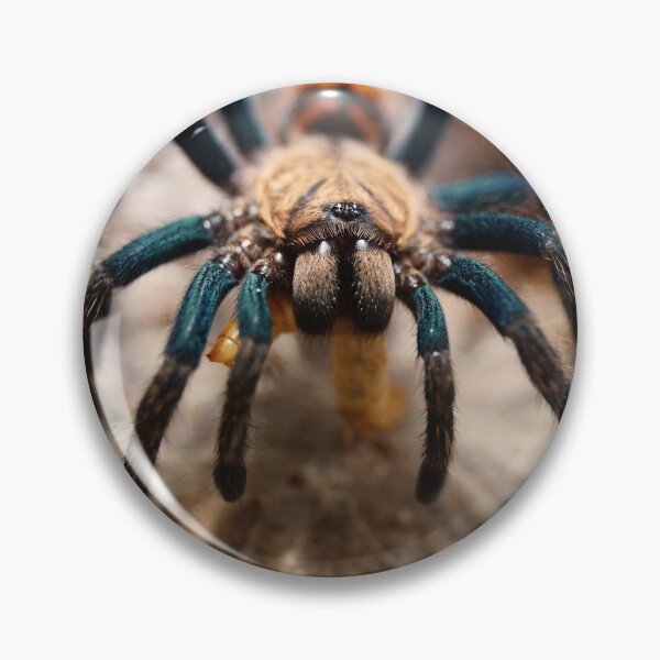 Item preview, At The Spider's Dinner designed and sold by antykreator.