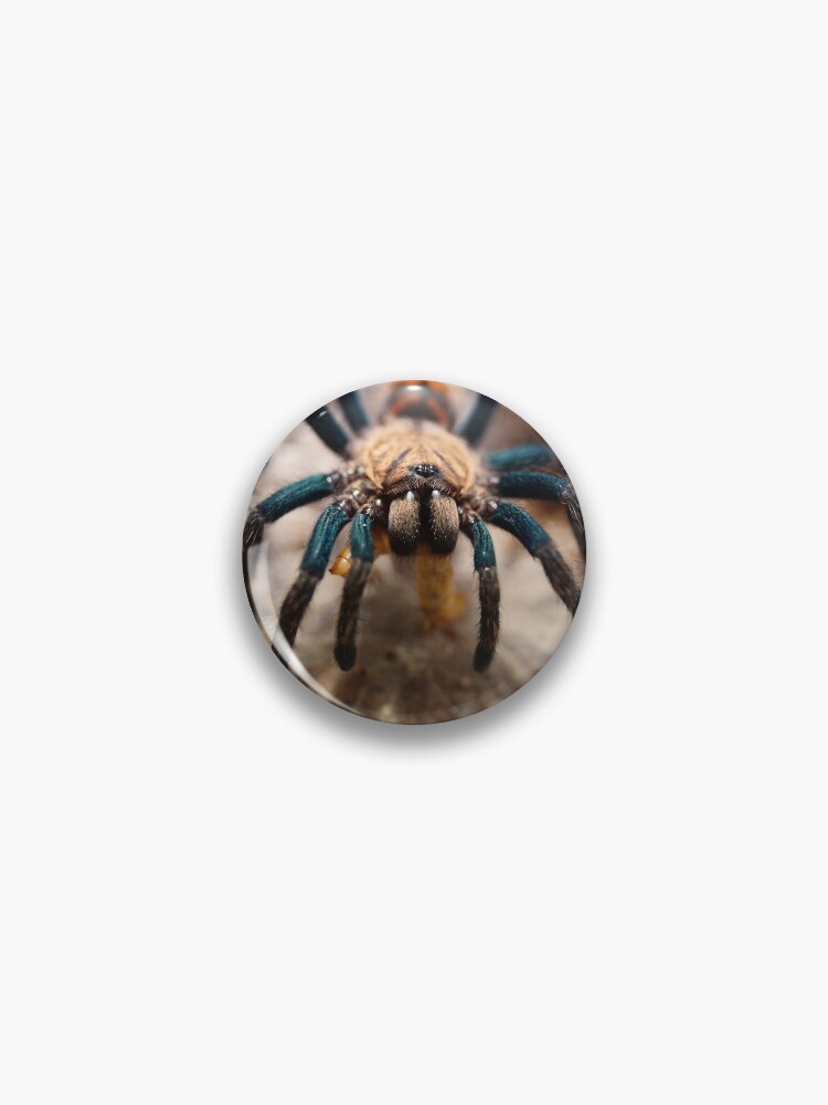Thumbnail 1 of 3, Pin, At The Spider's Dinner designed and sold by antykreator.