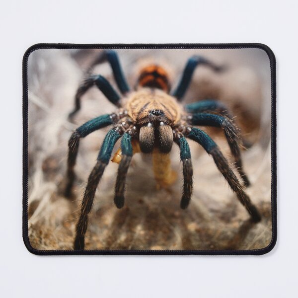 Item preview, At The Spider's Dinner designed and sold by antykreator.
