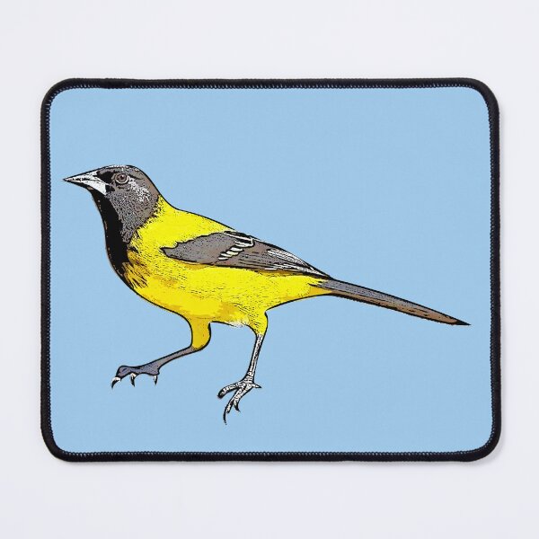 Item preview, Audubon's Oriole Black Alternate Design designed and sold by designsasstultd.