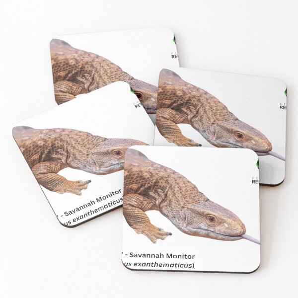Item preview, Transparent Appa designed and sold by KYReptileZoo.