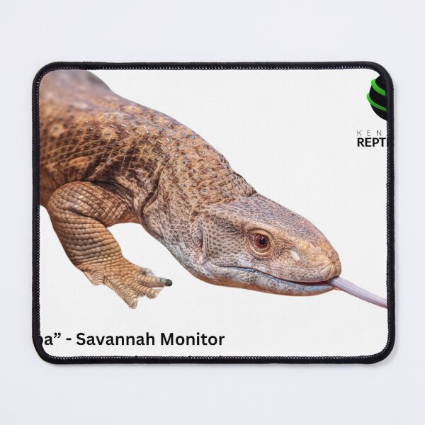 Item preview, Transparent Appa designed and sold by KYReptileZoo.