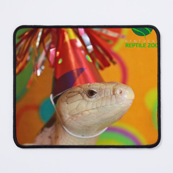 Item preview, Lola the Blue-tongued Skink designed and sold by KYReptileZoo.