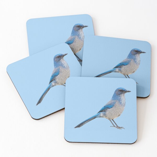 Item preview, Woodhouse’s Scrub-Jay Color Design  designed and sold by designsasstultd.