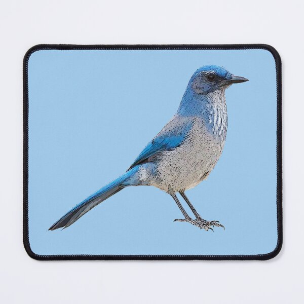 Item preview, Woodhouse’s Scrub-Jay Color Design  designed and sold by designsasstultd.