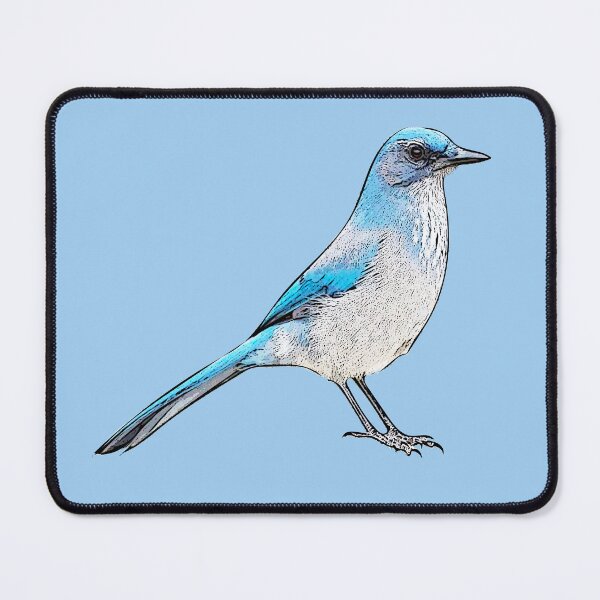 Item preview, Woodhouse’s Scrub-Jay Black Alternate Design  designed and sold by designsasstultd.