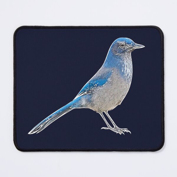 Item preview, Woodhouse’s Scrub-Jay White Alternate Design  designed and sold by designsasstultd.