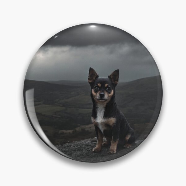 Item preview, Stormy weather dog designed and sold by RJsphotography and More.