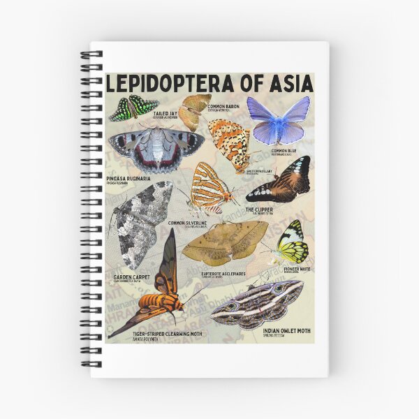 Item preview, Lepidoptera of Asia designed and sold by wesleykshaver.
