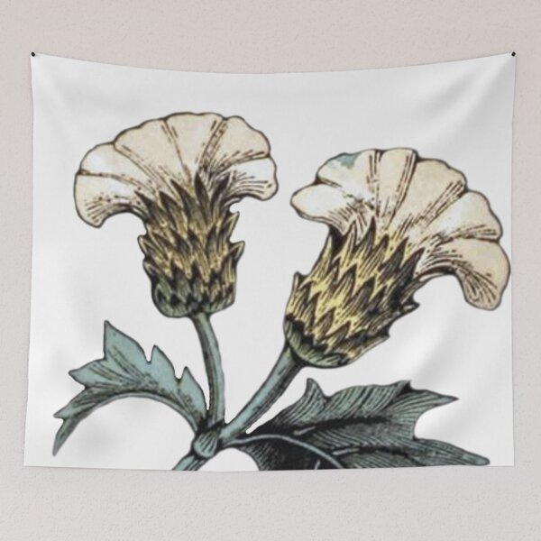 Item preview, White Thistle Drawing designed and sold by HawthorneFlame.