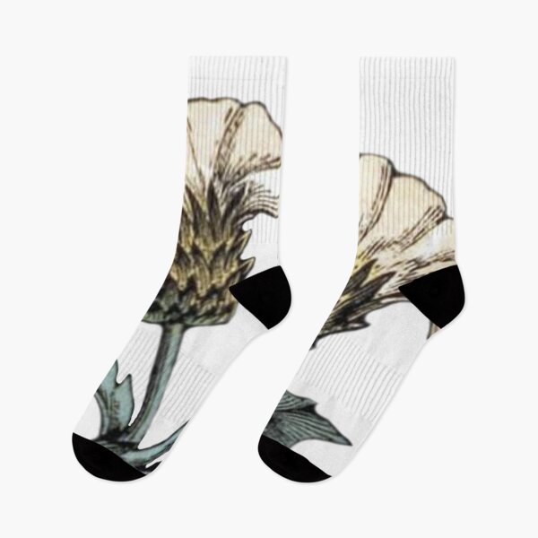 Item preview, White Thistle Drawing designed and sold by HawthorneFlame.