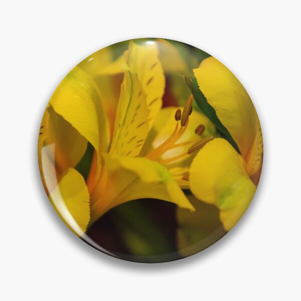Item preview, 0594   Gold at Pitt St designed and sold by Pitt Street  Uniting Church, Sydney.