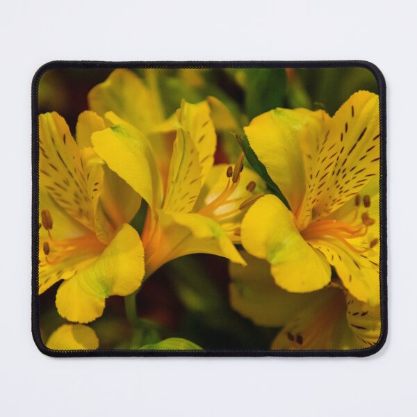 Item preview, 0594   Gold at Pitt St designed and sold by Pitt Street  Uniting Church, Sydney.