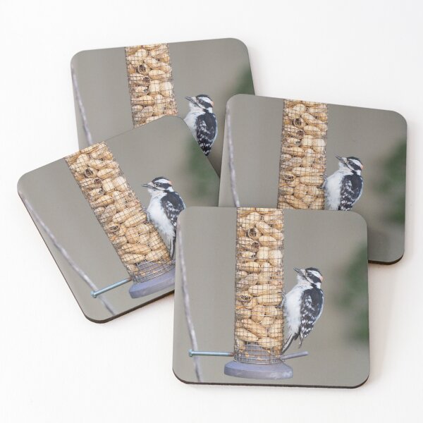 Item preview, Male Downy Woodpecker Staring at Peanut Shells designed and sold by BackyardBirder.