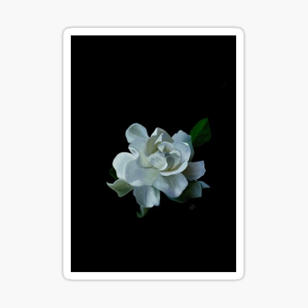 Item preview, Oil painting of white peony designed and sold by MothlingDesigns.