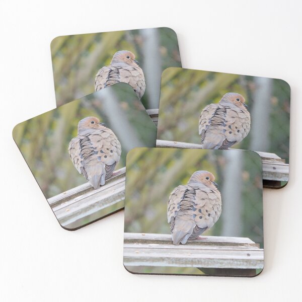 Item preview, Dove Staring at The Camera designed and sold by BackyardBirder.