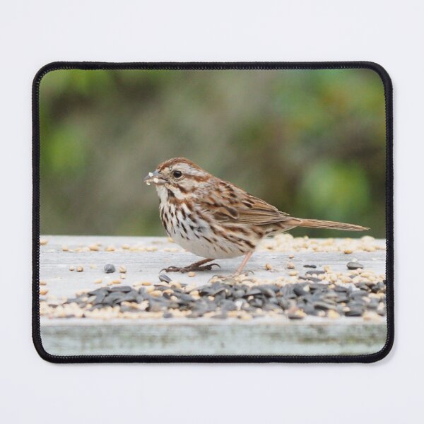 Item preview, Song Sparrow On My Bird Feeder designed and sold by BackyardBirder.