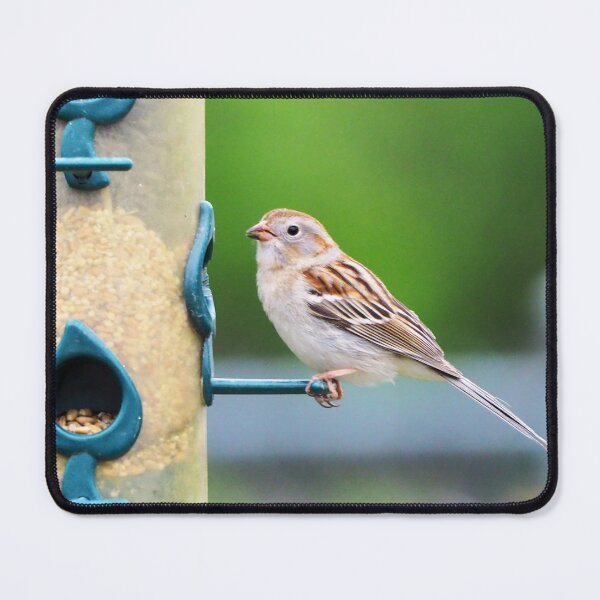 Item preview, Field Sparrow On My Bird Feeder designed and sold by BackyardBirder.