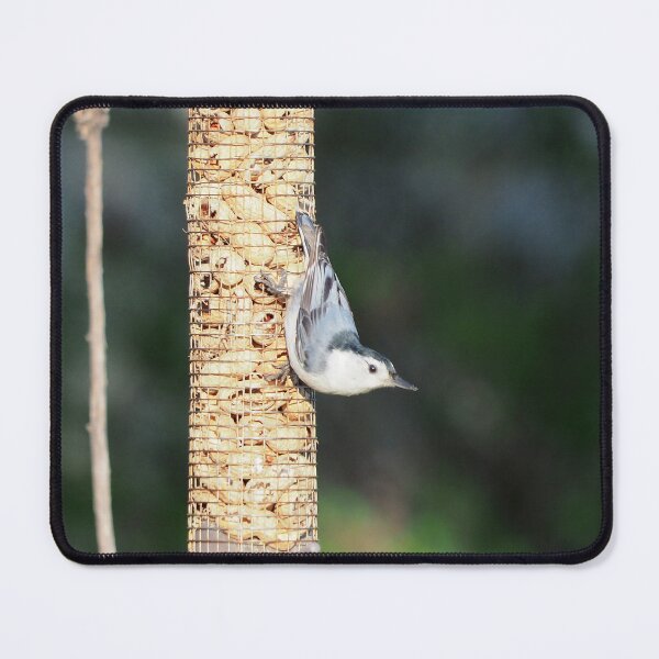 Item preview, White-breasted Nuthatch On My Peanut Bird Feeder designed and sold by BackyardBirder.