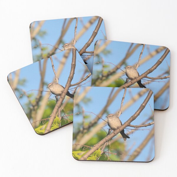 Item preview, Chipping Sparrow In a Tree designed and sold by BackyardBirder.