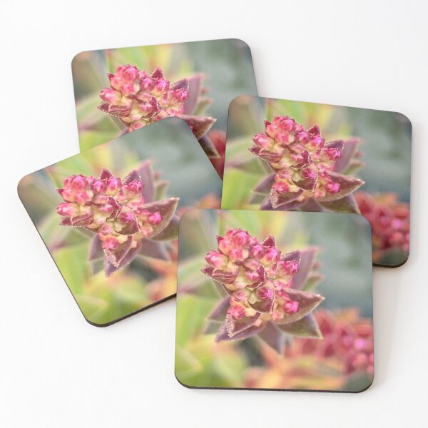 Item preview, Bursting with Color designed and sold by Betsy Phillips.