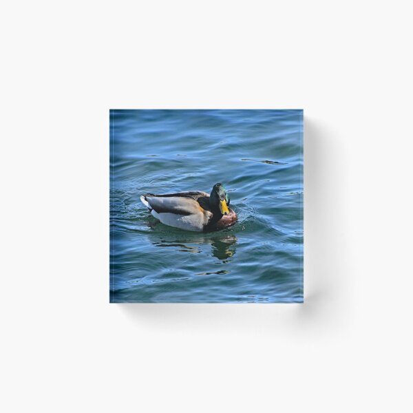 Item preview, Lake Arrowhead designed and sold by supernova23.