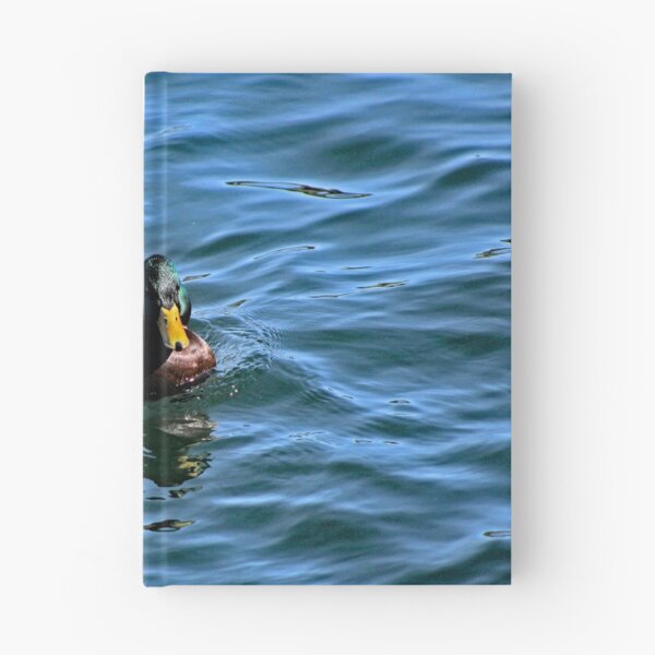 Item preview, Lake Arrowhead designed and sold by supernova23.