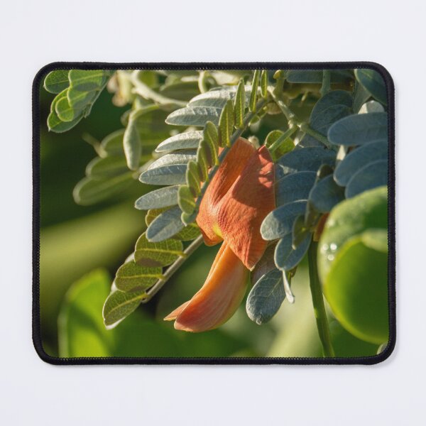 Item preview, Orange 'Ohai designed and sold by Keola Makaiau.